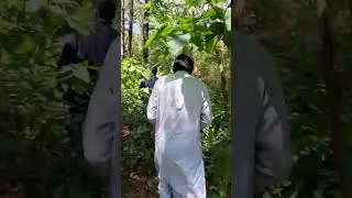 Islamabad###beautiful  Enjoying Margla Hill Forest###
