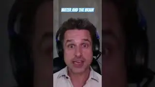 Water and the Brain with Dr Jack Lewis #brain #neuroscience #brainhealth
