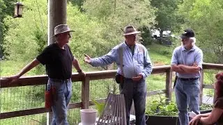 Organic Orchard Rejuvenation Part 1 Introduction
