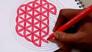 Flower Mandala art//Geometric pattern for beginners