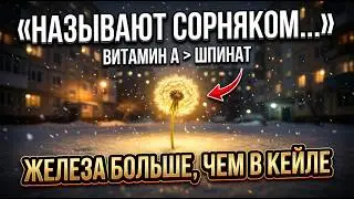 Дикая медицина у вас в саду, о которой они не хотят, чтобы вы знали&hellip; И её можно посадить зимой.