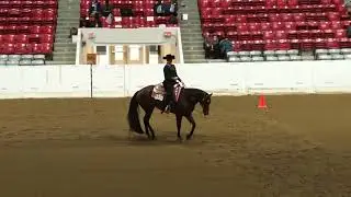 2025 Quarter Horse Congress Youth Horsemanship Porter Lewis on Mamas Boy