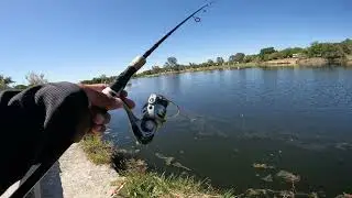 Secrets to catching Trouts a Camanche Lake South Shore Pond