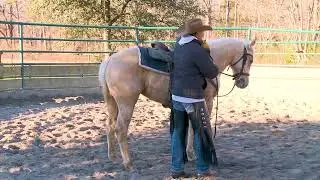 Colt Starting Series - Training Each Side of the Brain