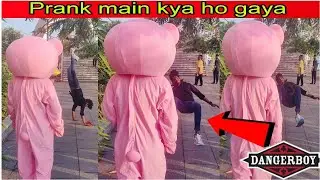 Comedy funny video teddy bear / try not to laugh