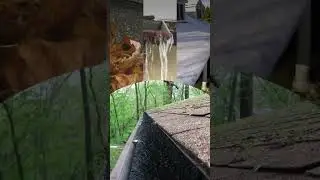 Stop Paying Thousands For Gutter Guards!