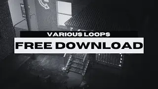 [FREE] Various Styles Melodies Loop Kit/Sample Pack