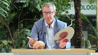 ODCINEK 8 Biegiem po zdrowie psychiczne - dr Wojciech Glac