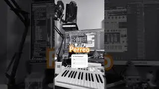 Perreo durito #badbunnytypebeat #music #beatdereggaetonmalianteoinstrumental #musicgenre #beats