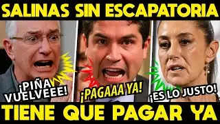 PAGAS PORQUE PAGAS! YA SIN ESCAPATORIA SALINAS TIENE QUE PAGAR!