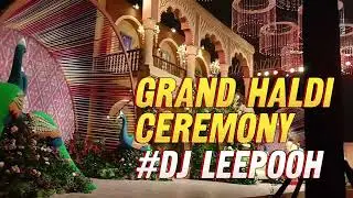 Grand Haldi Ceremony, Pepper Tree Resort, SAAD Group Family Function