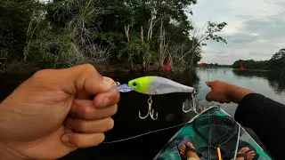 🚨 Se eu soubesse o que essa ISCA fazia, teria usado antes! PESCARIA de TRA&Iacute;RA e TUCUNAR&Eacute; 🔥