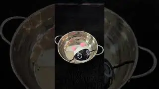 Самая милая камера видеонаблюдения? 😍 Тест и обзор Smart 2K Pet Robot