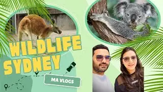 INSIDE SYDNEY'S MOST INCREDIBLE WILDLIFE  PARK | INDIANS IN AUSTRALIA | MA VLOGS