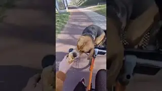 #funny #foryou #shortvideo #youtube #cat #cute #comedy #cricket #cooking #cutebaby #cartoon #capcut