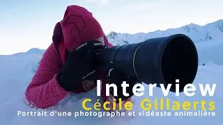 Cécile Gillaerts | Portrait d'une photographe et vidéaste animalière
