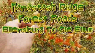 Manastash Ridge Forest Roads Ellensburg To Cle Ellum