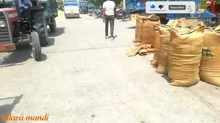 Bilara mandi 👌👌