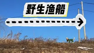 发现野生渔船，应该有些好货#camping #campping #outdoors #cute #funny
