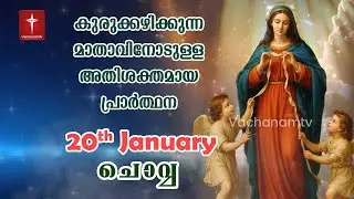 🔴 LIVE - 20th Jan | കുരുക്കഴിക്കുന്ന മാതാവിന്റെ അതിശക്തമായ പ്രാർത്ഥന 33 തവണ 33 ദിവസം ചൊല്ലുക #live