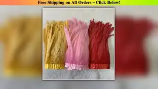 25-30cm/10-12inch Rooster Tail Feathers Trims 10Meters  Red Green Pink Dress DIY Decoration