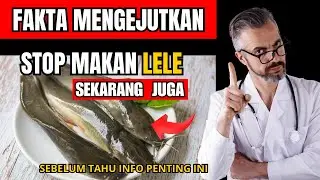 Ikan Lele Bisa Bikin Tubuh Kamu Terkejut?! 7 Fakta Mengejutkan yang Jarang Diketahui
