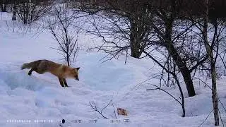 ЖИЗНЬ ОДНОЙ ПРИВАДЫ :-)