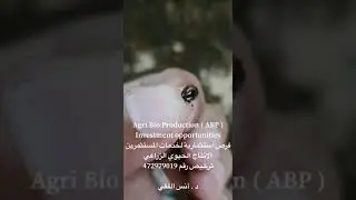مكافحة حشرة ابو مقص( Eawig ) في مزرعة دودة السماد