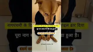 #dogesh bhai ka viral short funny 😅 video @dogesh_memes_1M