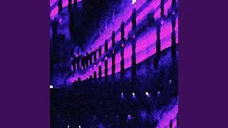 Neon at Play