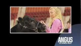 Angus Means Business: The Angus Foundation: Education, Research & Youth