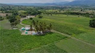 P&T Valley Farms