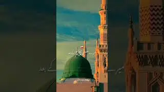 Tumhara Nabi Kon Hai 🫀#madina #shortvideo #nabi  #islamicreels