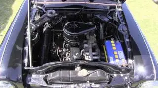 All Ford Day 2011