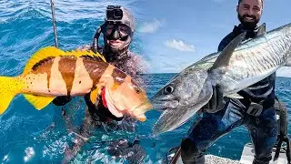 Spearfishing The Great Barrier Reef QLD