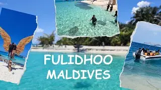 Travelogue EP 2 - Fulidhoo island #maldives  #stingray