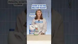 Where Do We Find Mold & Mildew?