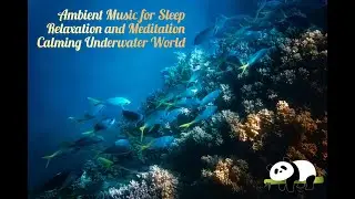 Ambient Music for Sleep | Relaxation and Meditation | Calming Underwater World