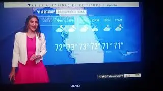 Gabriela Dellan El Tiempo Telemundo 49