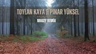 Toylan Kaya & Pınar Yüksel-Aylardan Kasım(Mauzy Remix)