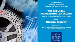 The Chemical Regulations Landscape