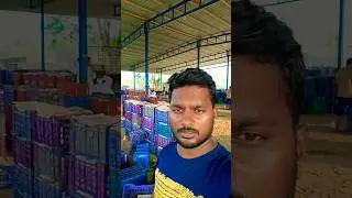 మామిడికాయల లోడు Rayachoty to jagon #trending #vlog #ytshorts #yt