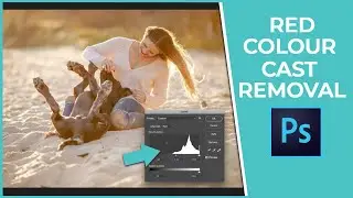 Removing a Red Colour Cast in Photoshop - Pet Photography Editing Tutorial