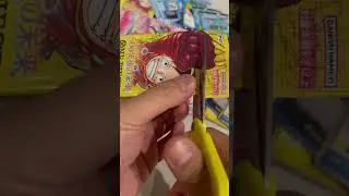 CHASING MANGA RARES IN ONE PIECE TCG DOUBLE PACK OPENING !
