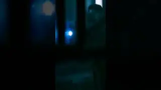 morbius bats amazing videos.  best movie go to si