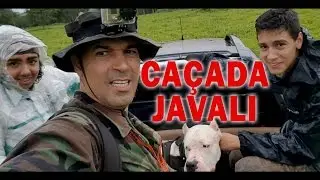 JAVALI - CAÇA COM CÃES