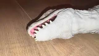 D-Rex, T-Rex, Indominus Rex