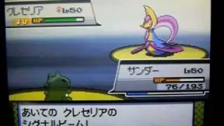 バトルタワー　金クロツグ戦