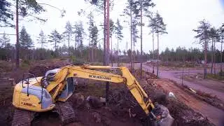 Mustakukko, timelapse 11.2017