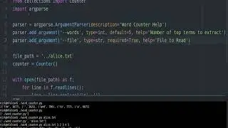 Effective Python Part 2 - Implement command line arguments